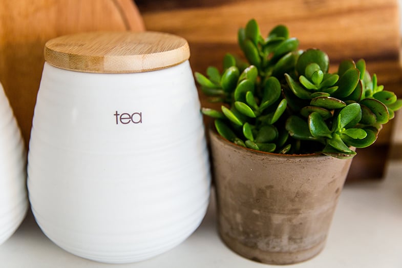 The jade plant is a symbol of luck, wealth and prosperity which is why it's also called a money plant