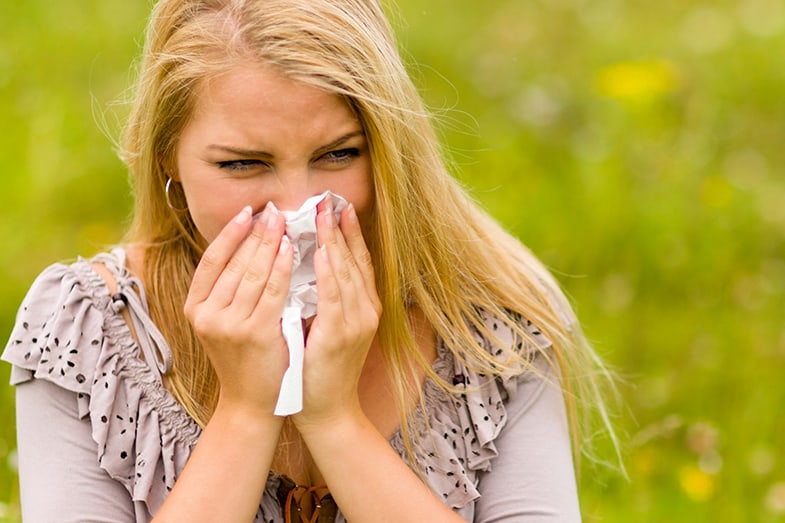Succulents are great at helping you dealing with allergies