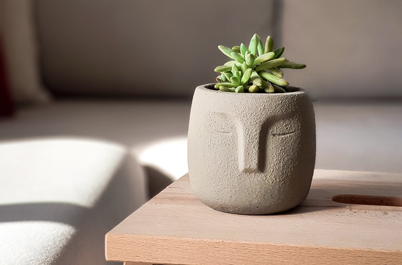 New plants will always need to be isolated from other plants