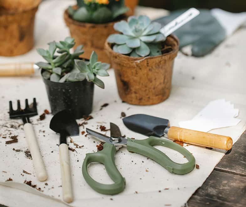 Most gardening tools can be found in mini form for succulents